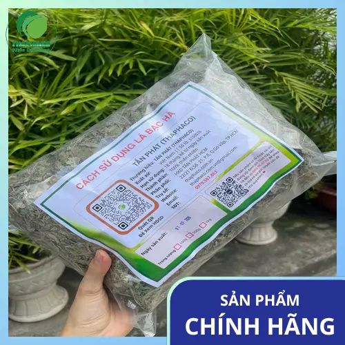 Lá bạc hà khô chất lượng từ THAPHACO