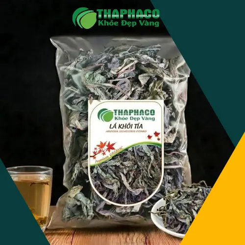 Lá khôi tía tươi và khô
