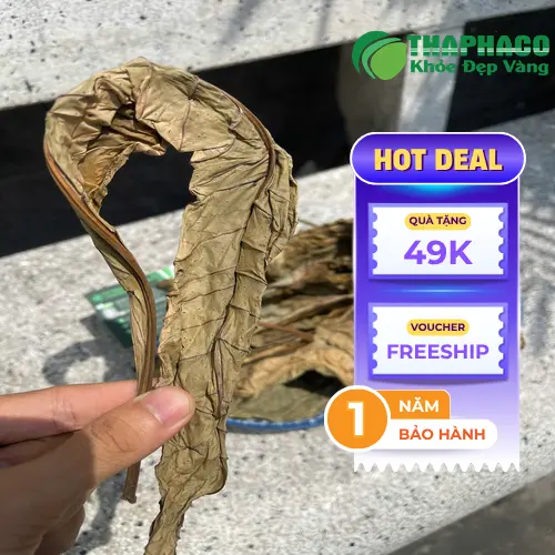 Lá Khôi Tía khô chất lượng tại THAPHACO
