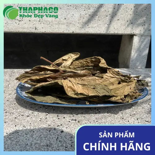 Không nên để lá khôi tía khô gần nguồn ẩm