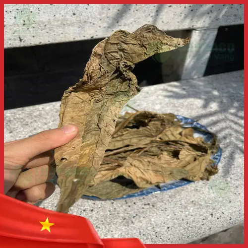 Bảng giá Lá Khôi Tía khô THAPHACO