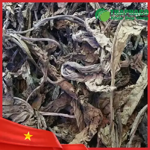 Cách dùng Lá Khôi Tía khô an toàn
