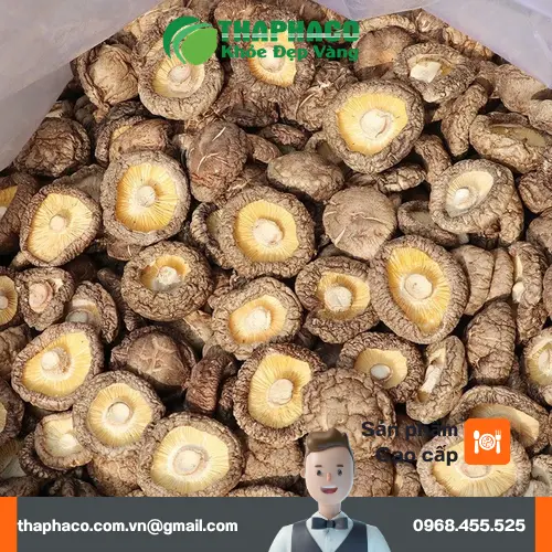 Nấm đông cô tươi và khô