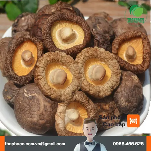 Các món chay ngon chế biến từ nấm đông cô