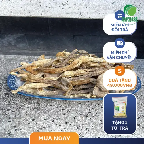 Nấm lộc nhung tươi có hình dáng như nhung hươu, màu trắng ngà