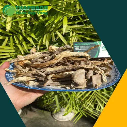 Nấm lộc nhung có thể được chế biến thành nhiều món ăn dinh dưỡng