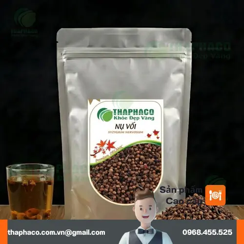 Địa Chỉ Bán Nụ Vối Khô Giá Tốt Tại TP.HCM