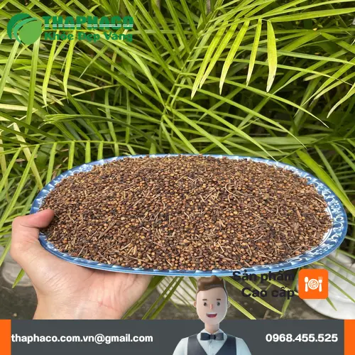 Công dụng hỗ trợ sức khỏe của Nụ Vối