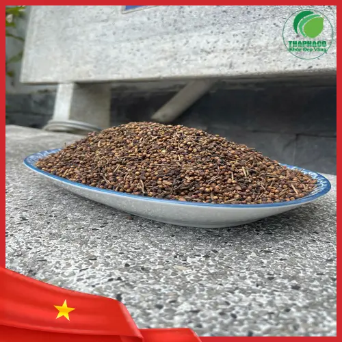 Cách pha trà Nụ Vối khô đúng cách