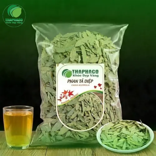 Hình ảnh cây Phan Tả Diệp trong tự nhiên