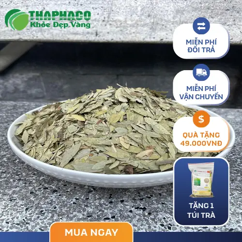 Phan Tả Diệp hỗ trợ nhuận tràng