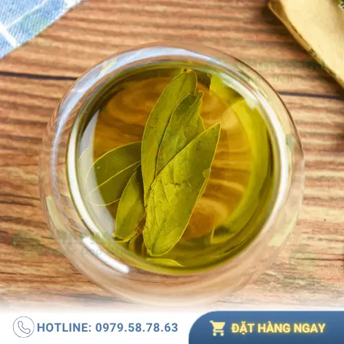 Phan Tả Diệp khô được đóng gói tại THAPHACO