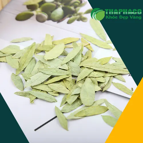 Tác dụng phụ của Phan Tả Diệp