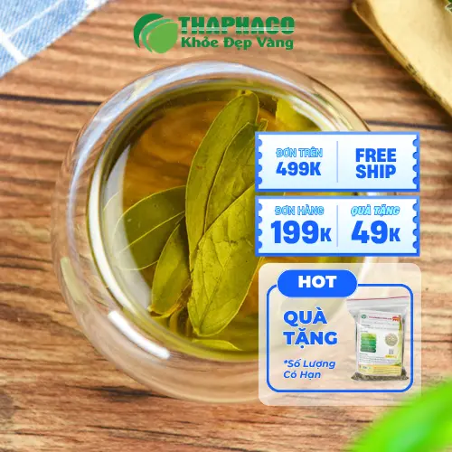 Pha trà Phan Tả Diệp đúng cách để dùng an toàn