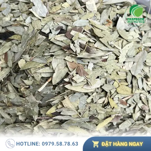Phan Tả Diệp sấy khô được đóng gói cẩn thận