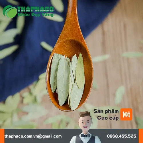 Phan Tả Diệp khô đóng gói tại THAPHACO