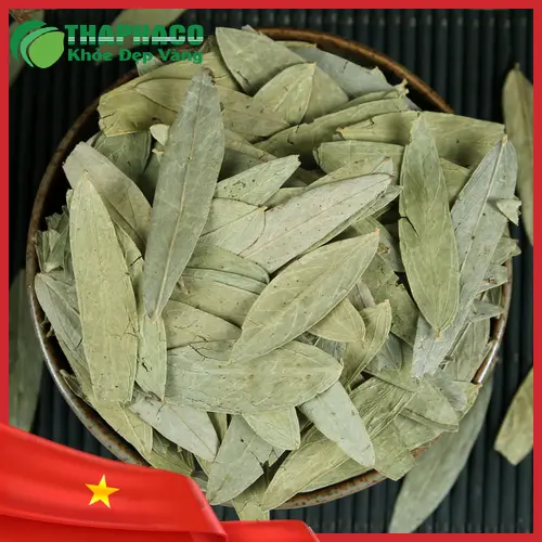 Trà Phan Tả Diệp giúp hỗ trợ tiêu hóa