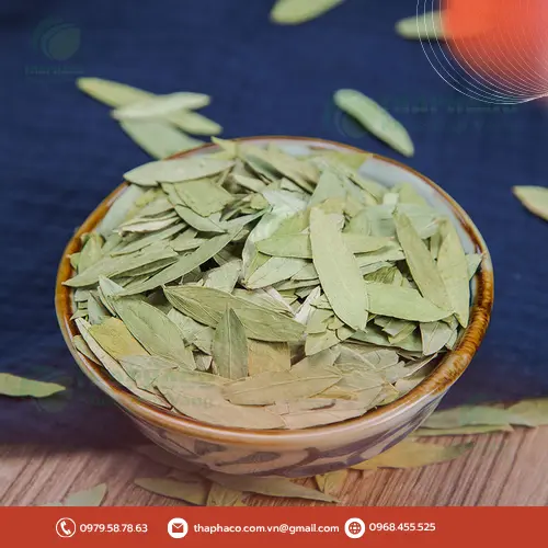 Sản phẩm Phan Tả Diệp chất lượng từ THAPHACO