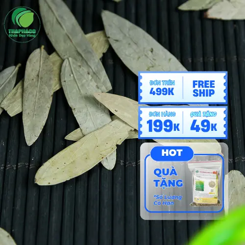 Sản phẩm Phan Tả Diệp sấy khô của THAPHACO