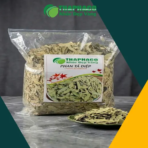 Địa chỉ mua Phan tả diệp uy tín