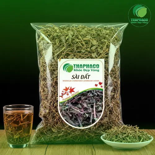 Sài đất – thảo dược quen thuộc hỗ trợ thanh nhiệt, giải độc