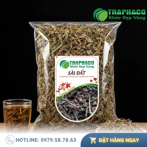 Hình ảnh cây Sài Đất tươi với những bông hoa màu vàng