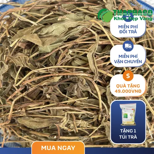 Sài đất khô chuẩn sạch tại THAPHACO