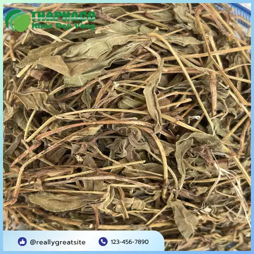 Hình ảnh Sài Đất khô đã được sơ chế và đóng gói