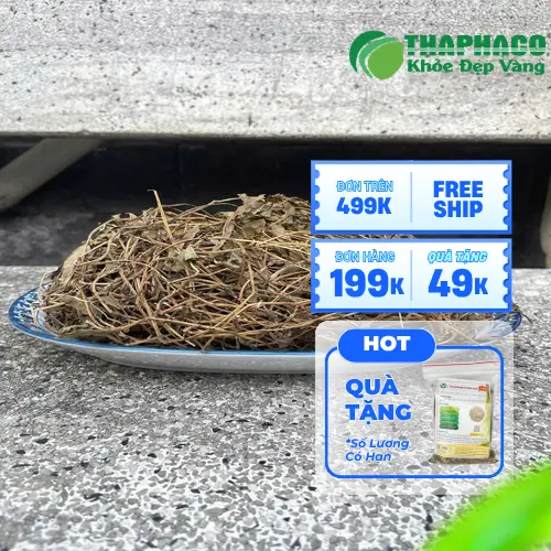 Đối tượng cần thận trọng khi uống sài đất