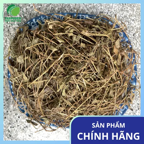 Công dụng hỗ trợ sức khỏe của sài đất khô