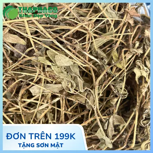 Chuyên gia thảo dược đưa ra lời khuyên sử dụng sài đất an toàn