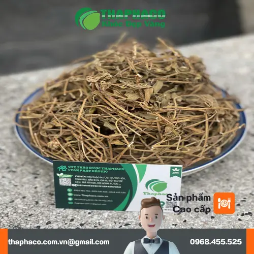 Đặt mua sài đất khô tại THAPHACO