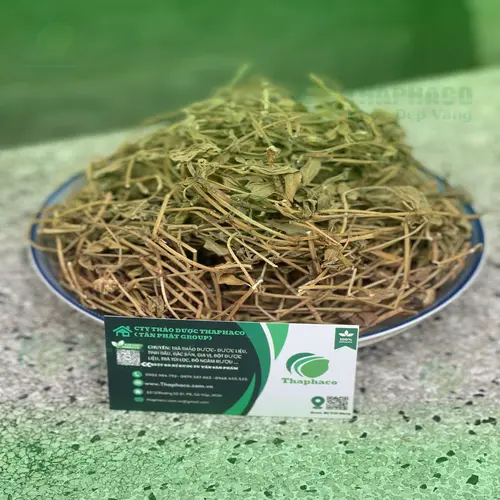 Sài Đất sấy khô THAPHACO - Nguồn gốc rõ ràng