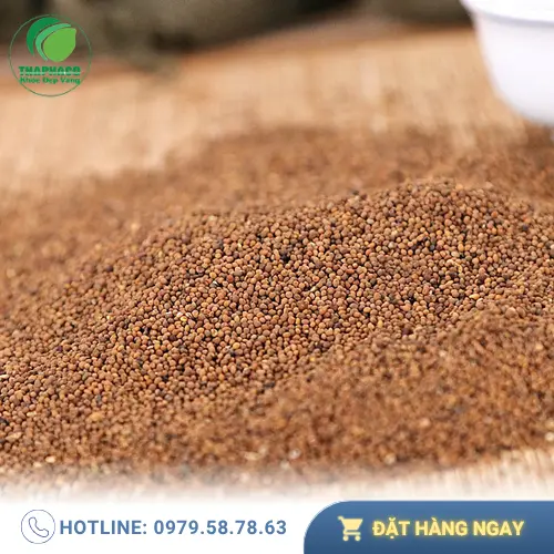 Cách dùng Thỏ Ty Tử khô đúng cách