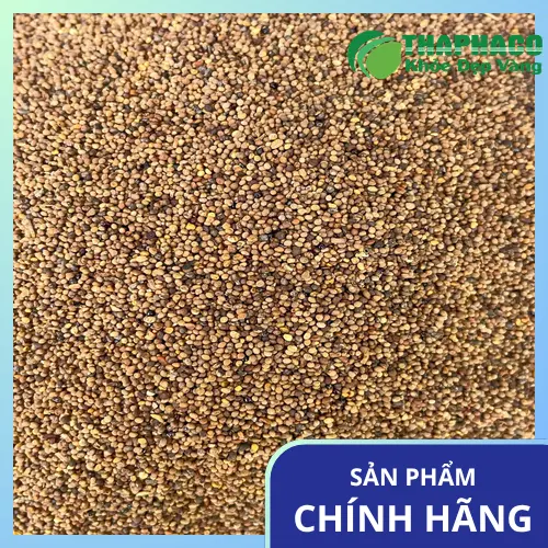 Hướng dẫn cách dùng Thỏ Ty Tử đúng cách