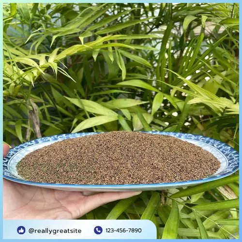 Cách sử dụng Thỏ Ty Tử đúng cách