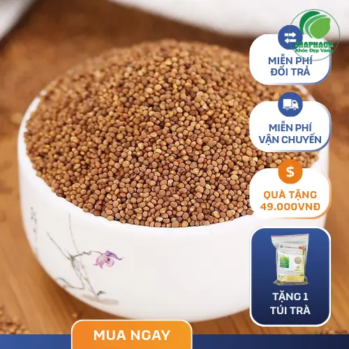 Thỏ Ty Tử khô tại THAPHACO