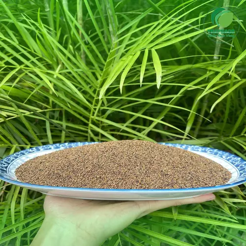 Thỏ Ty Tử nguyên chất tại THAPHACO