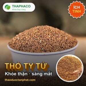 Thỏ ty tử - Thỏ Ty Tử: Hỗ Trợ Thận Khỏe, Mắt Sáng, Lưng Gối Dẻo Dai
