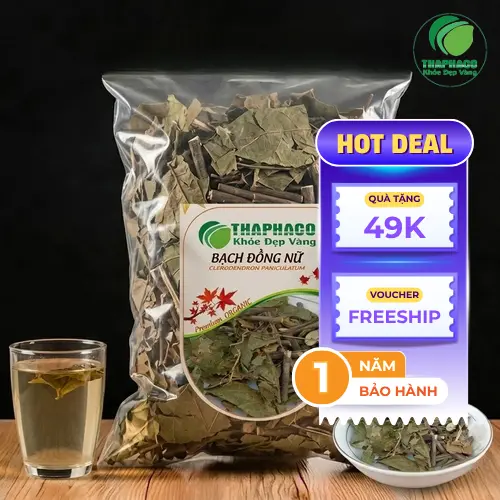 Hình ảnh cây Bạch Đồng Nữ toàn thân, hoa trắng