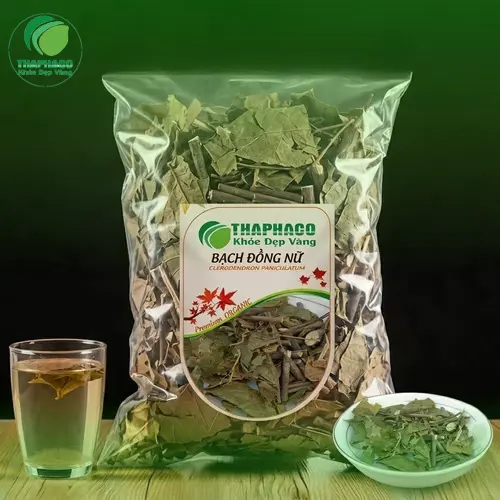 Hình ảnh cây bạch đồng nữ tươi