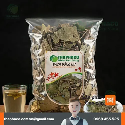 Bạch đồng nữ khô chất lượng tại THAPHACO