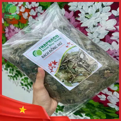 Hướng dẫn sử dụng bạch đồng nữ sấy khô hiệu quả