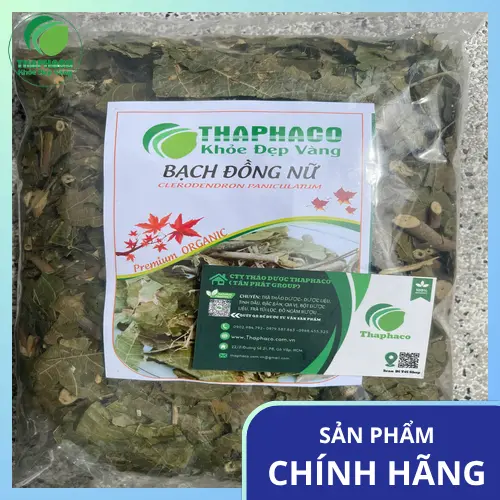 Lá Bạch Đồng Nữ tươi, dùng để chế biến