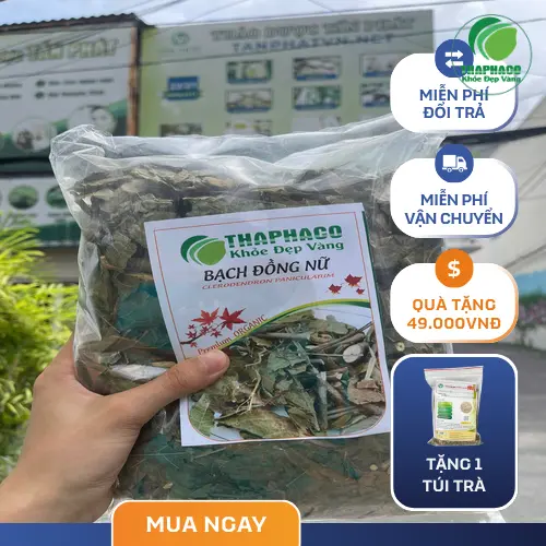Bảng giá bạch đồng nữ sấy khô tại THAPHACO