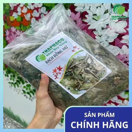 Cách dùng bạch đồng nữ đúng liều lượng