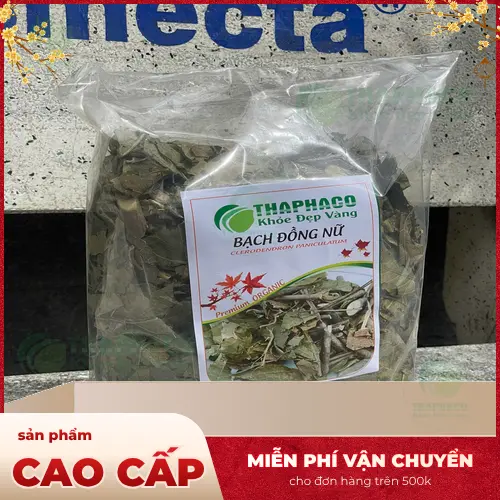 Kho dược liệu THAPHACO đảm bảo chất lượng bạch đồng nữ