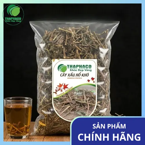 Địa Chỉ Bán Cây Xấu Hổ Khô (Mắc Cỡ) Uy Tín Tại TP.HCM