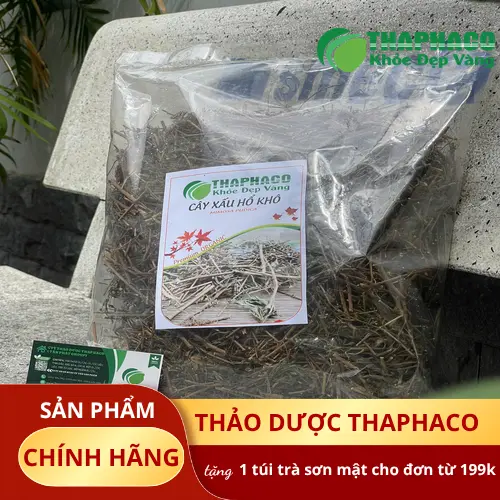Cây xấu hổ khô THAPHACO được đóng gói cẩn thận