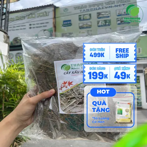 Rễ cây xấu hổ khô đã được làm sạch